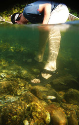 080720上八川川01