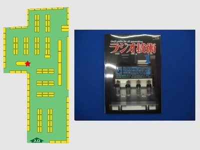 bitmap (2)