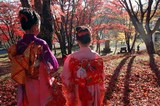 7e35498e.jpg