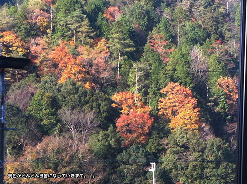写真 11-12-12 8 59 46