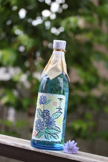 chiko01