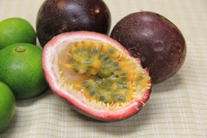 okinawa2