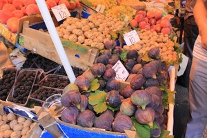 fig