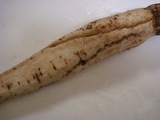 burdock3