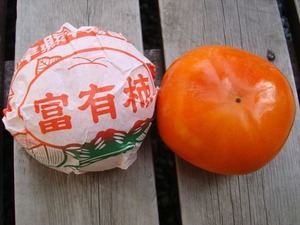 kaki