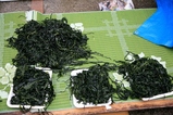 wakame
