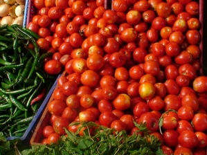 tomato1
