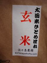 wild rice