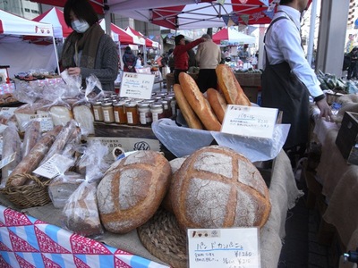 marche6