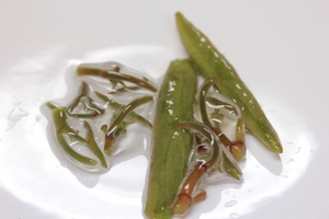 junsai