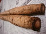burdock1