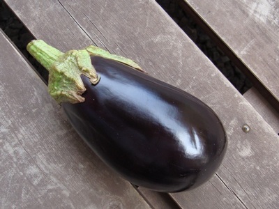 egg plants