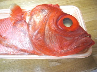 fish