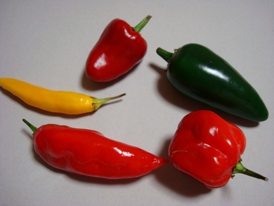 pepper