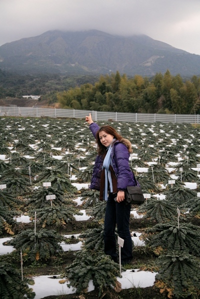 farm2
