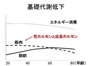 図5