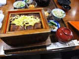 eel