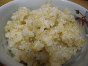 genmai1