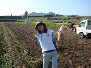 ibusuki