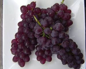 grape 11