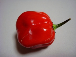 habanero
