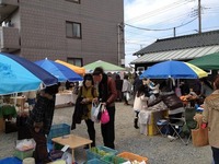 IMG_20120205193030-2