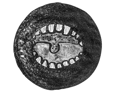 シリーズ第二弾 オリジナルlineスタンプ Peckman 4 Hanmizushima Net Lifehack Boring Days