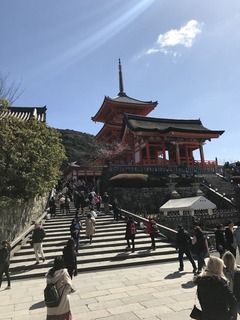 IMG_1696