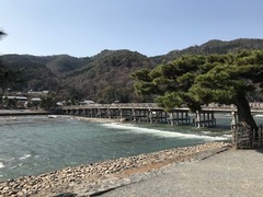 IMG_1720
