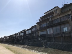 IMG_1713