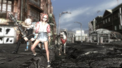 fallout3 使用mod 装備mod以外 diona counter