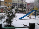 6f1826e7.jpg
