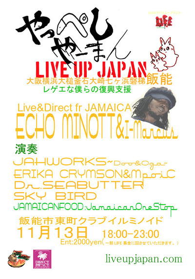 ÈÓǽ¥Õ¥é¥¤¥ä¡¼¤Î¥³¥Ô¡¼