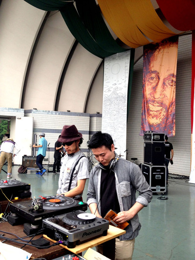 DIplaysSka2012