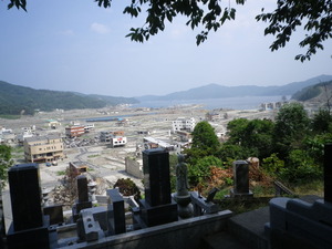 IMGP1651
