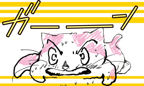 ネコ が===ん