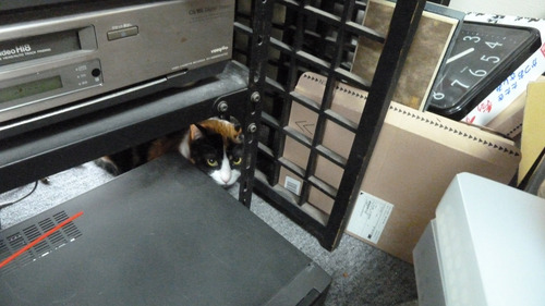0はぴ2地震部屋倒壊11n3g11n01あ▲twitter