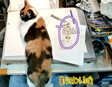 ���Ϥ�11��4��1��08�֤�������͡ץޥ�����