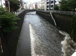 064b8619.jpg