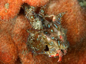 200802_11_59_a0079659_22111045