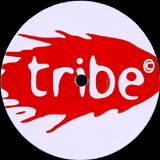 TRIBE RECORDINGS