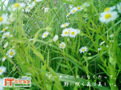 花 class=