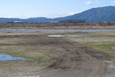 150308_荒らされた滑空場-2