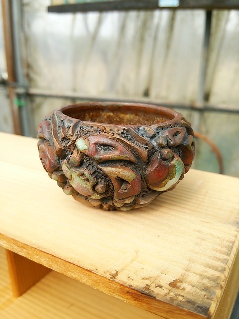 岡谷是心氏作苔鉢 岡谷是心【是心】底面にも彫りあり 苔鉢 植木鉢 盆栽鉢 Bonsai