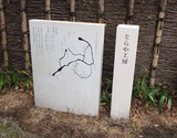 diary2218-01.jpg