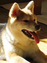 かっこいい♪