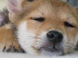 いいこと☆彡