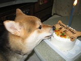 たんじょうび5