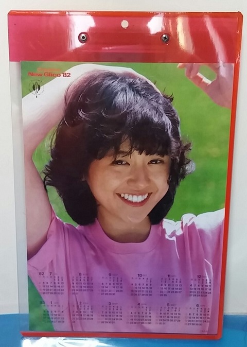 1982年 グリコ 製品荷姿一覧表 小泉今日子 バインダー : トレジャー