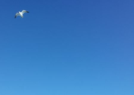 20130120_095031